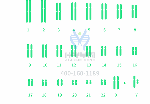 【佳學基因檢測】做多發(fā)性骨髓瘤易位1114型基因解碼、<a  data-cke-saved-href=http://m.sushiinoueharlem.com/tk/jiema/cexujishu/2021/31933.html href=http://m.sushiinoueharlem.com/tk/jiema/cexujishu/2021/31933.html>基因檢測</a>需要多少錢？
