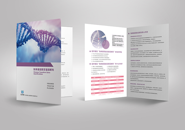 【佳學基因檢測】做L-鐵蛋白缺乏常染色體隱性基因解碼、<a href=http://m.sushiinoueharlem.com/tk/jiema/cexujishu/2021/31933.html>基因檢測</a>需要多長時間？