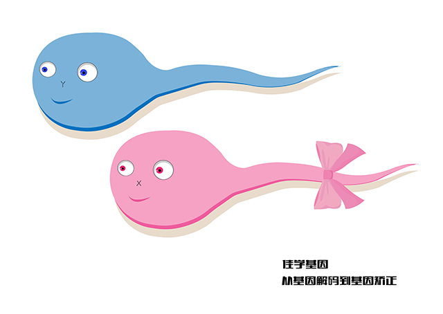 【佳學(xué)基因檢測】哪兒可以做瞼裂-智力低下綜合征Maat-Kievit-<font color='red'>Brunner</font> 型基因檢測？