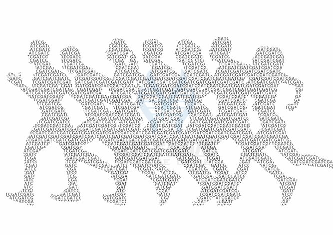 【佳學(xué)基因檢測】楓糖尿病中間型1A型基因解碼、<a href=http://m.sushiinoueharlem.com/tk/jiema/cexujishu/2021/31933.html>基因檢測</a>可以只做<a href=http://m.sushiinoueharlem.com/tk/jiema/cexujishu/2021/31933.html>基因檢測</a>嗎？