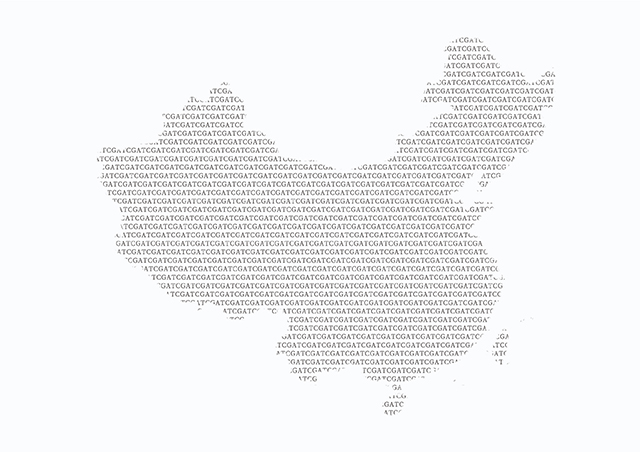 【佳學(xué)基因檢測】酸性α-葡糖苷酶等位基因2型基因解碼、<a href=http://m.sushiinoueharlem.com/tk/jiema/cexujishu/2021/31933.html>基因檢測</a>報(bào)告看得懂嗎？