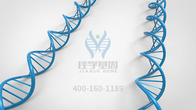 <b>【佳學(xué)基因檢測】原發(fā)性限局性皮膚淀粉樣變1型基因解碼、基因檢測報(bào)告時(shí)間</b>