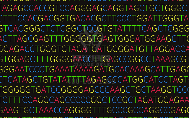 【佳學(xué)基因檢測】多發(fā)性乳腺纖維瘤基因解碼、<a href=http://m.sushiinoueharlem.com/tk/jiema/cexujishu/2021/31933.html>基因檢測</a>的報告有人解讀嗎？