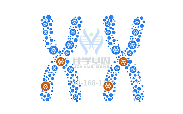 【佳學(xué)基因檢測】如何做<font color='red'><font color='red'>乳糖</font><font color='red'>不耐</font>癥</font>基因解碼、基因檢測？