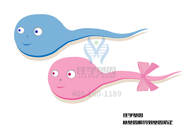 【佳學(xué)基因檢測】肌肉AMP脫氨酶缺乏癥基因解碼、<a href=http://m.sushiinoueharlem.com/tk/jiema/cexujishu/2021/31933.html>基因檢測</a>的報告有人解讀嗎？