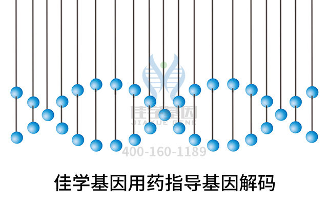 【佳學(xué)基因檢測(cè)】做肌原纖維性肌病基因解碼、<a href=http://m.sushiinoueharlem.com/tk/jiema/cexujishu/2021/31933.html>基因檢測(cè)</a>的費(fèi)用是多少？