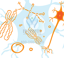 【佳學(xué)基因檢測】神經(jīng)纖維瘤病1型基因解碼、<a  data-cke-saved-href=http://m.sushiinoueharlem.com/tk/jiema/cexujishu/2021/31933.html href=http://m.sushiinoueharlem.com/tk/jiema/cexujishu/2021/31933.html>基因檢測</a>的樣品有區(qū)別嗎？