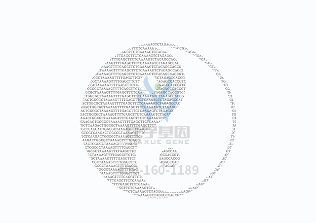 【佳學(xué)基因檢測(cè)】做網(wǎng)狀色素皮病基因解碼、<a  data-cke-saved-href=http://m.sushiinoueharlem.com/tk/jiema/cexujishu/2021/31933.html href=http://m.sushiinoueharlem.com/tk/jiema/cexujishu/2021/31933.html>基因檢測(cè)</a>需要多長(zhǎng)時(shí)間？