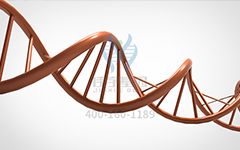 【佳學(xué)基因檢測】怎么做常染色體隱性廣泛性甲狀腺激素抵抗基因解碼、<a href=http://m.sushiinoueharlem.com/tk/jiema/cexujishu/2021/31933.html>基因檢測</a>?