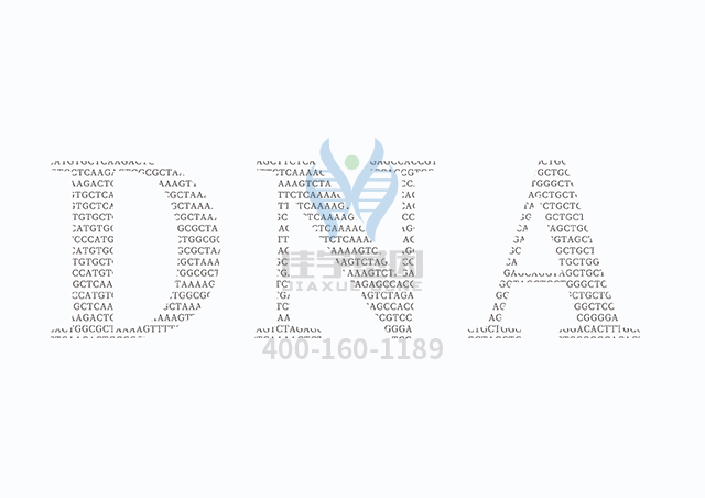 【佳學(xué)基因檢測】生精障礙10型基因解碼、<a href=http://m.sushiinoueharlem.com/tk/jiema/cexujishu/2021/31933.html>基因檢測</a>怎么預(yù)約解讀？