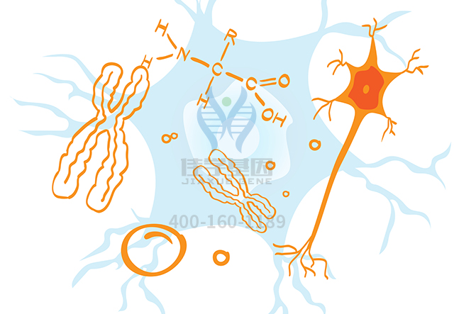 【佳學(xué)基因檢測(cè)】怎么做生精障礙12型基因解碼、<a href=http://m.sushiinoueharlem.com/tk/jiema/cexujishu/2021/31933.html>基因檢測(cè)</a>?