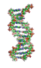 【佳學基因檢測】需要多長時間可以拿嗜睡癥7型基因解碼、<a href=http://m.sushiinoueharlem.com/tk/jiema/cexujishu/2021/31933.html>基因檢測</a>報告？