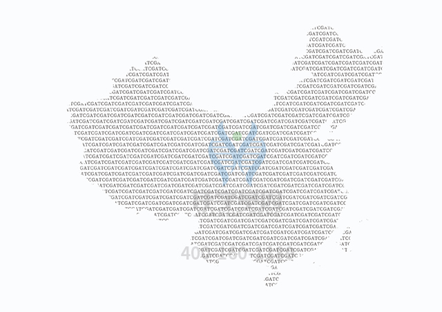 【佳學(xué)基因檢測(cè)】SDHB相關(guān)疾病基因解碼、<a href=http://m.sushiinoueharlem.com/tk/jiema/cexujishu/2021/31933.html>基因檢測(cè)</a>可以只做基因解碼嗎？