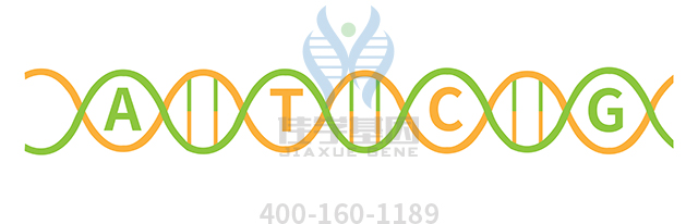 【佳學(xué)基因檢測】Townes-Brocks-branchiootorenal樣綜合征基因解碼、<a href=http://m.sushiinoueharlem.com/tk/jiema/cexujishu/2021/31933.html>基因檢測</a>可以只做基因解碼嗎？