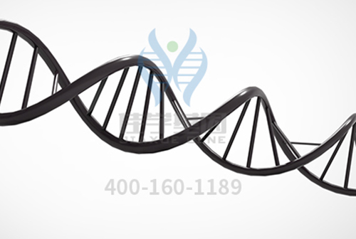 【佳學(xué)基因檢測】<font color='red'>VLDL</font>R相關(guān)小腦發(fā)育不全基因解碼搞清23種病，你還在用<a href=http://m.sushiinoueharlem.com/tk/jiema/cexujishu/2021/31933.html>基因檢測</a>？