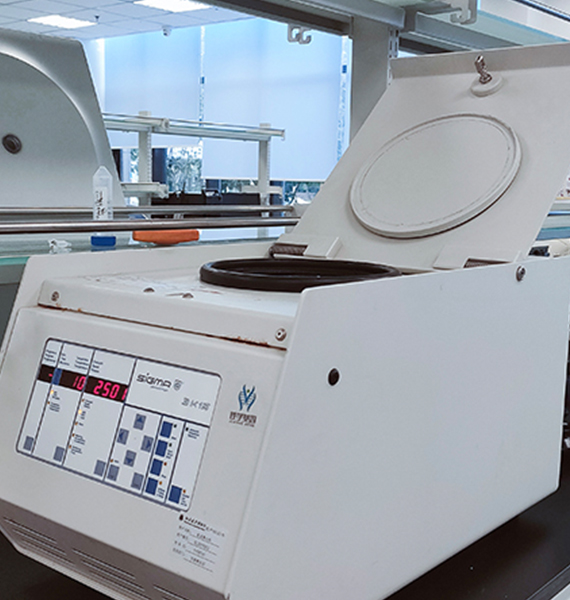 【佳學(xué)基因檢測】斯塔加特黃斑變性?。?lt;font color='red'><font color='red'>stargardt</font></font> macular degeneration)基因解碼、<a href=http://m.sushiinoueharlem.com/tk/jiema/cexujishu/2021/31933.html>基因檢測</a>