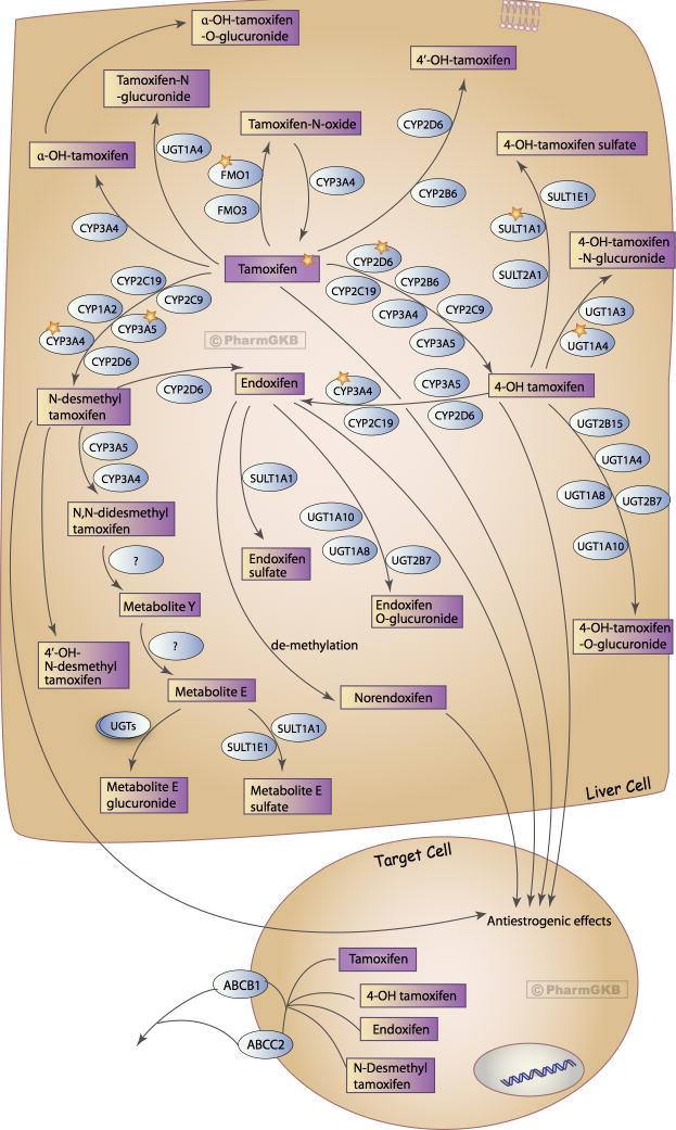 An external file that holds a picture, illustration, etc.
Object name is nihms932531f1.jpg