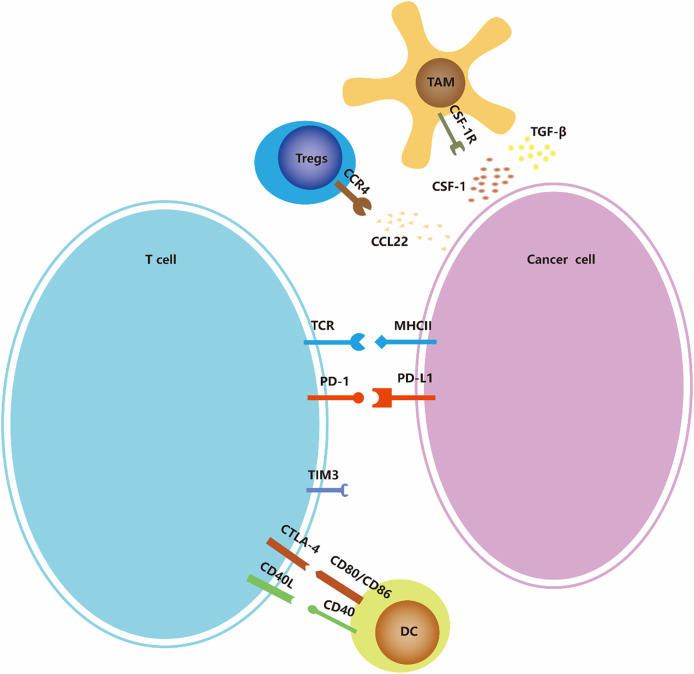 包含圖片、插圖等的外部文件。對象名稱為 fonc-13-1103147-g002.jpg