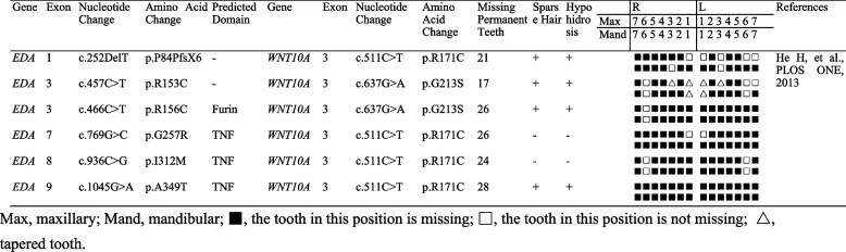名為 12903_2024_3888_Tab4_HTML.jpg 的圖形文件