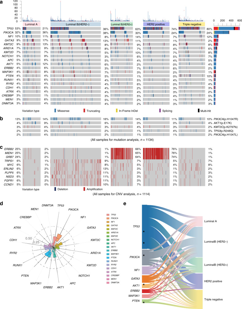 圖2:醫(yī)學(xué)基因檢測(cè)如何幫助乳腺癌患者找到靶向藥物？02