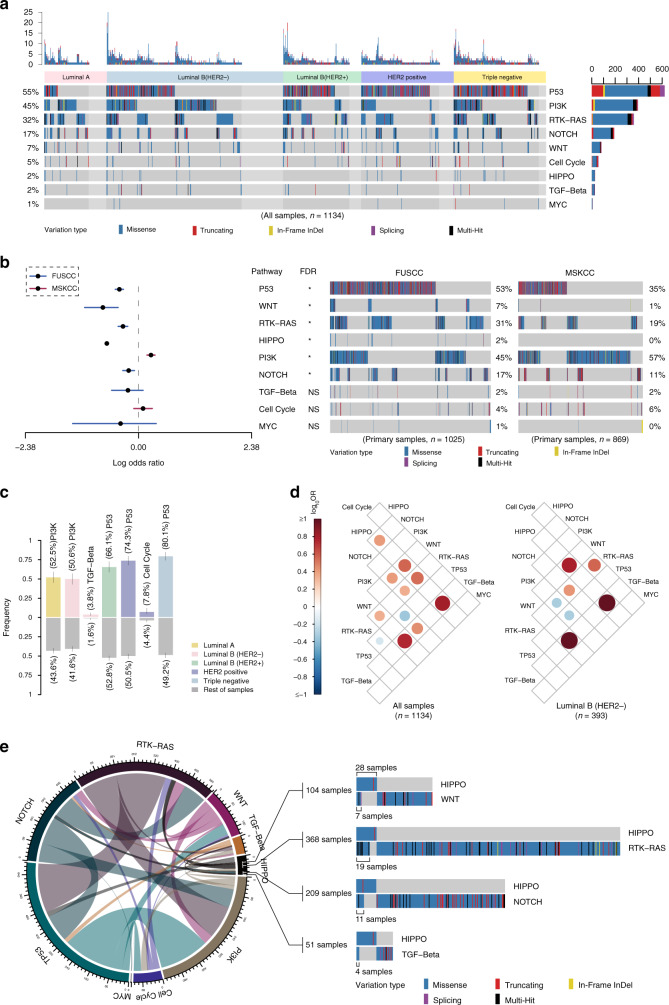 圖4醫(yī)學(xué)基因檢測(cè)如何幫助乳腺癌患者找到靶向藥物？